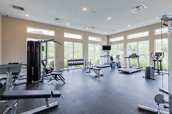 A gym with lots of windows and weights and cardio equipment